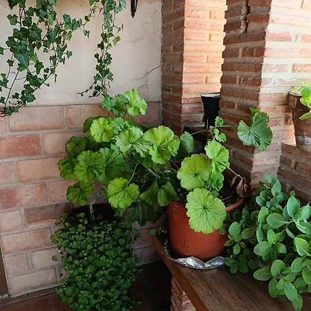 Tatil Evi Teruel La Deshilla Alfambra