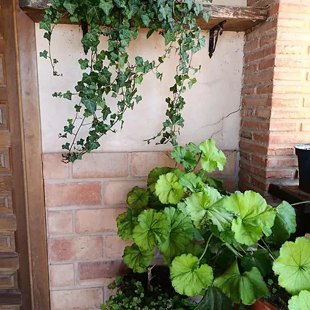 Teruel La Deshilla *