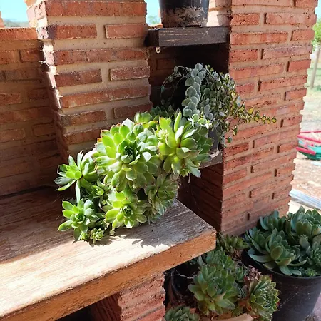 Nyaraló Teruel La Deshilla *