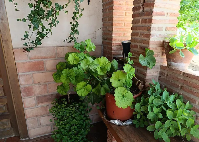 Casa vacanze Teruel La Deshilla Alfambra