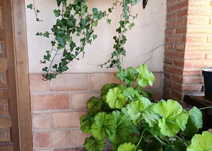 Teruel La Deshilla *