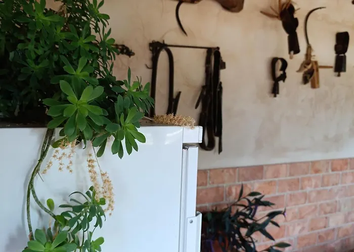 Casa vacanze Teruel La Deshilla *