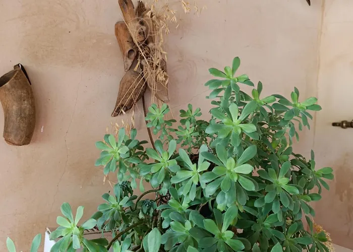 Casa vacanze Teruel La Deshilla Alfambra